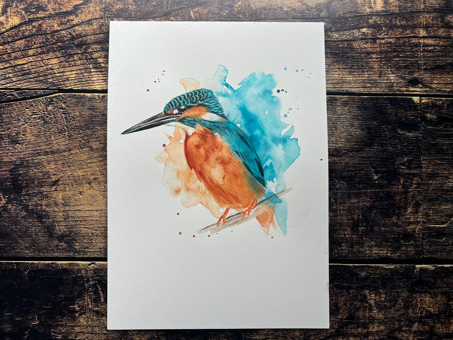 Kingfisher splash A4