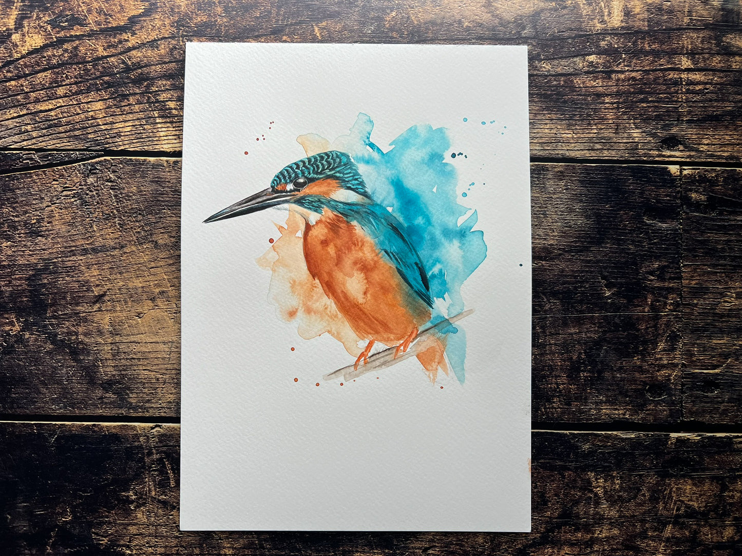 Kingfisher splash A4