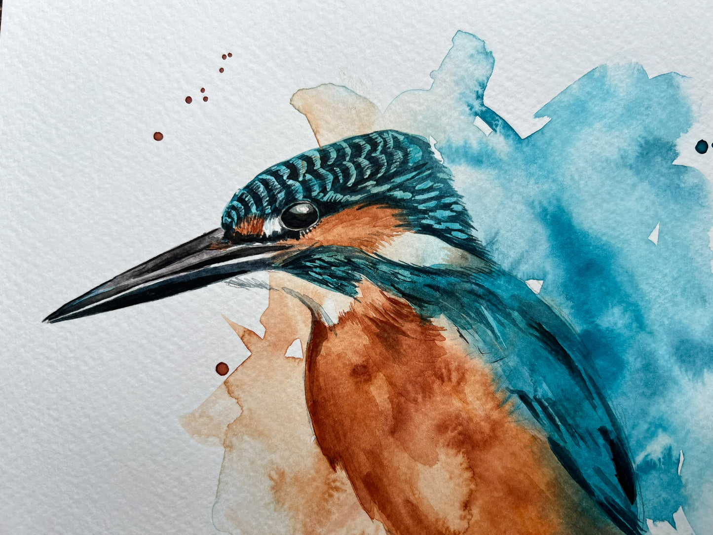 Kingfisher splash A4