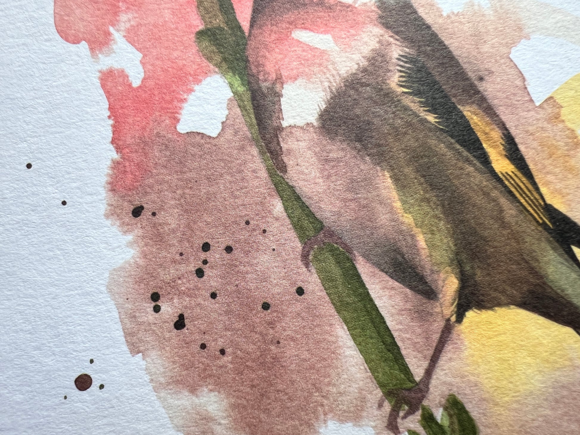 A close up of the print of the card