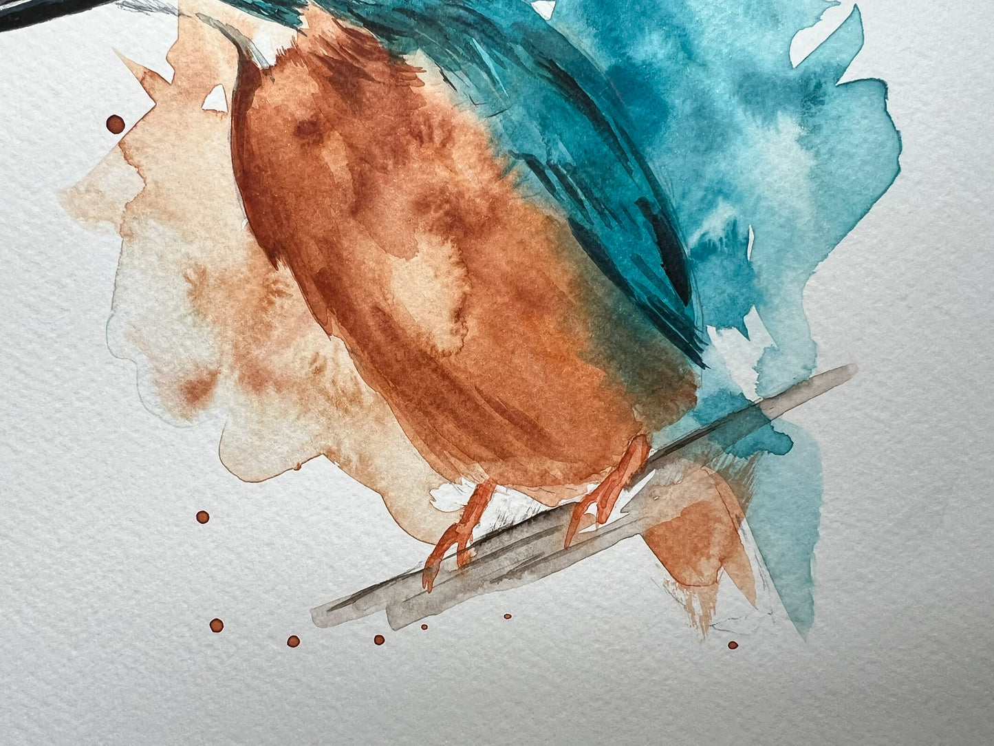Kingfisher splash A4