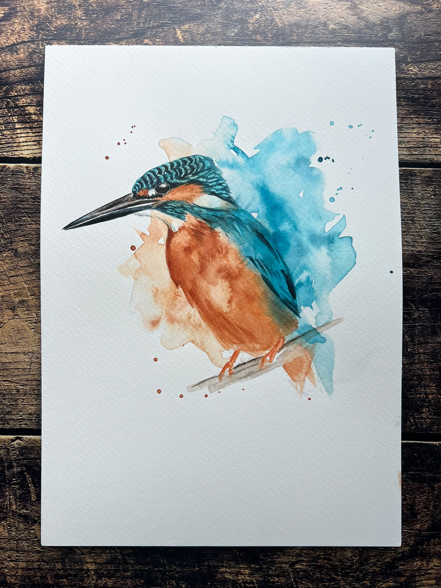 Kingfisher splash A4