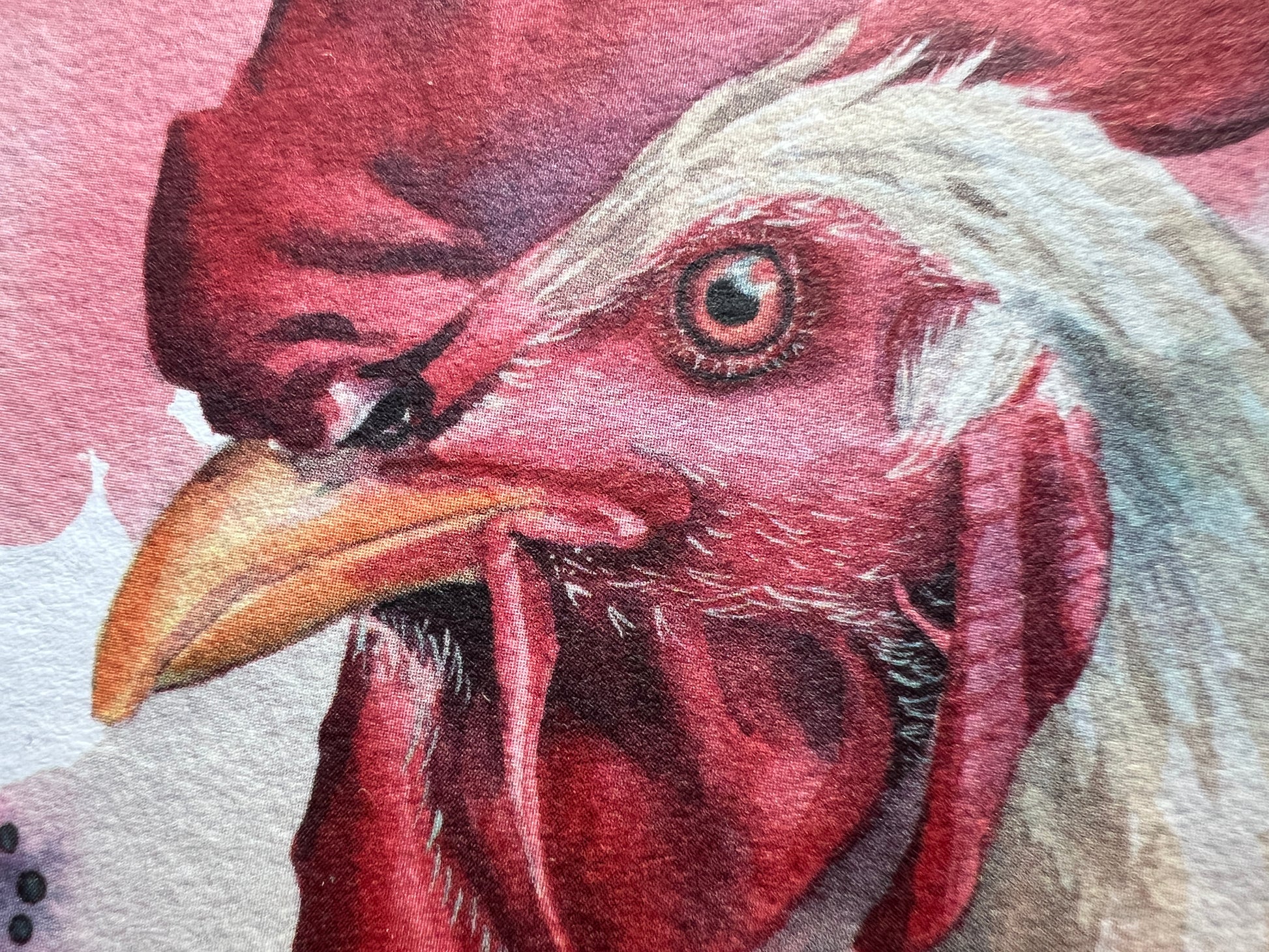 A close up of the roosters head
