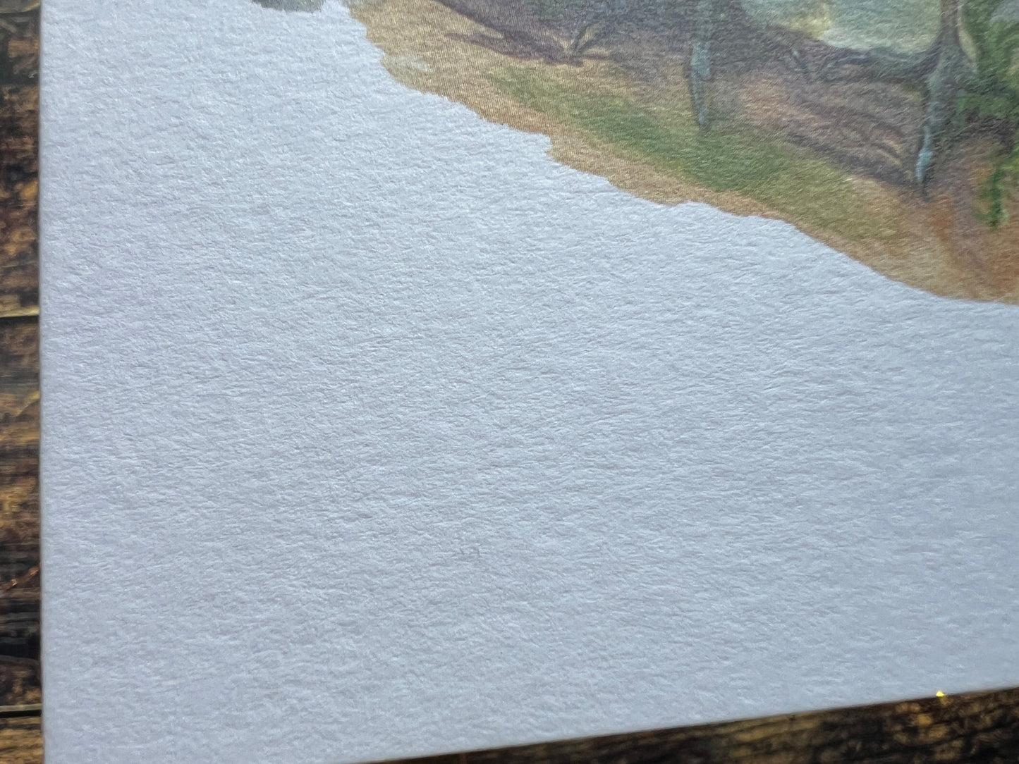 A close up showing the texture of the card.