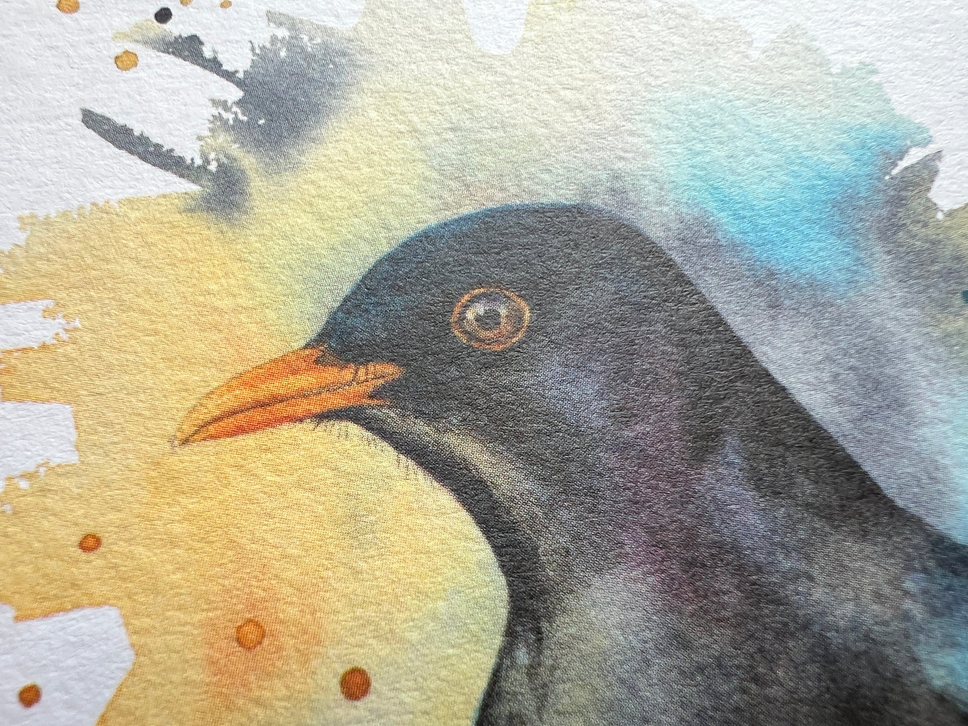 A close up showing the birds head