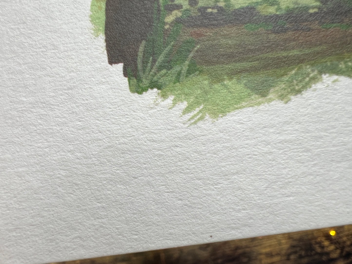 A  close up showing the texture of the card
