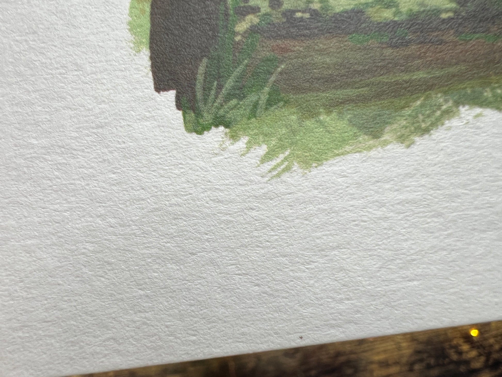 A  close up showing the texture of the card
