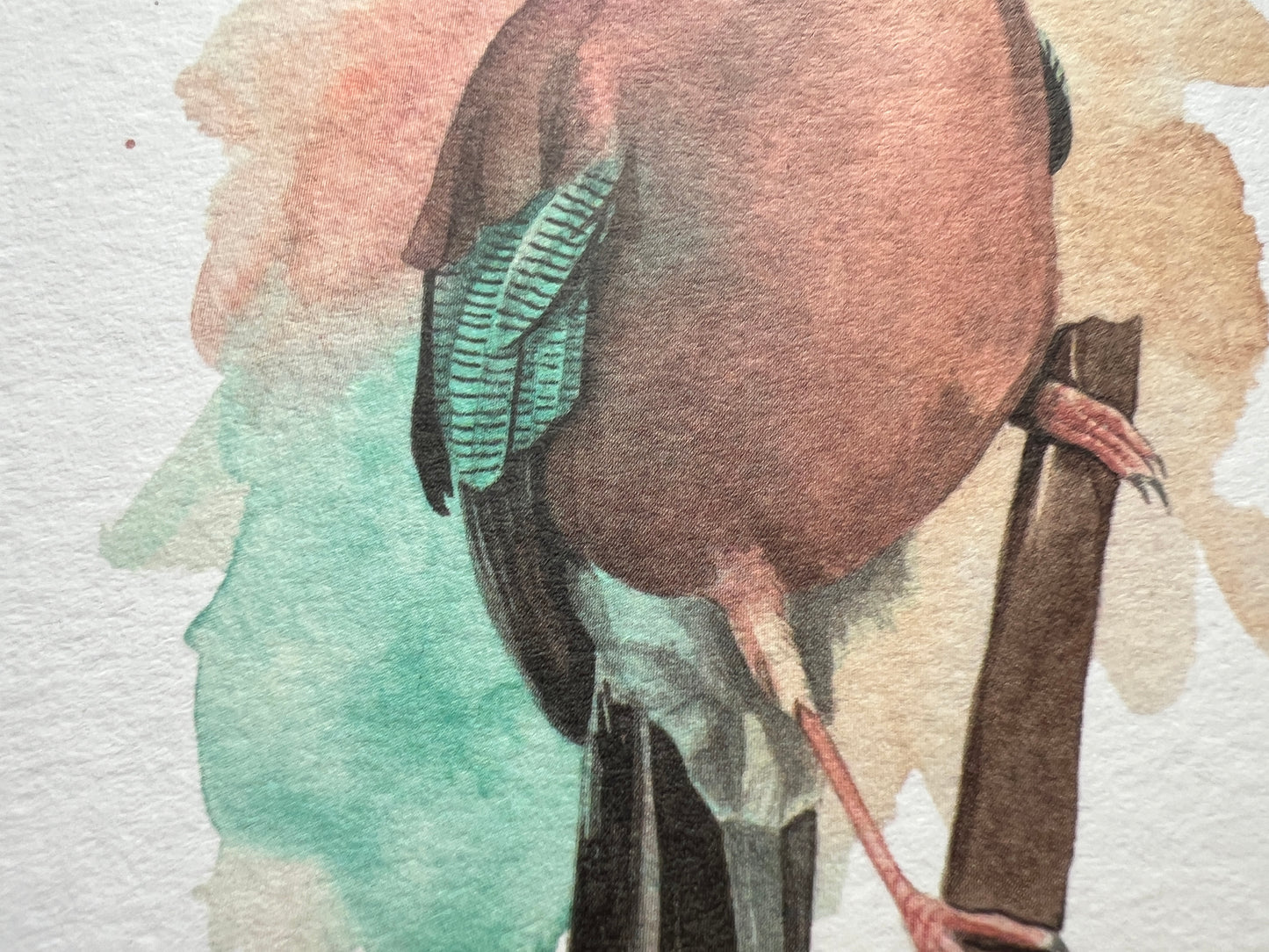 A lightly textured greetings card with an expressively painted watercolour Jay.