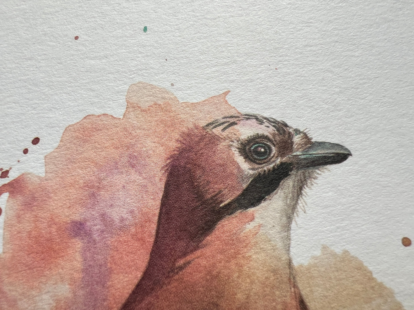 A lightly textured greetings card with an expressively painted watercolour Jay.