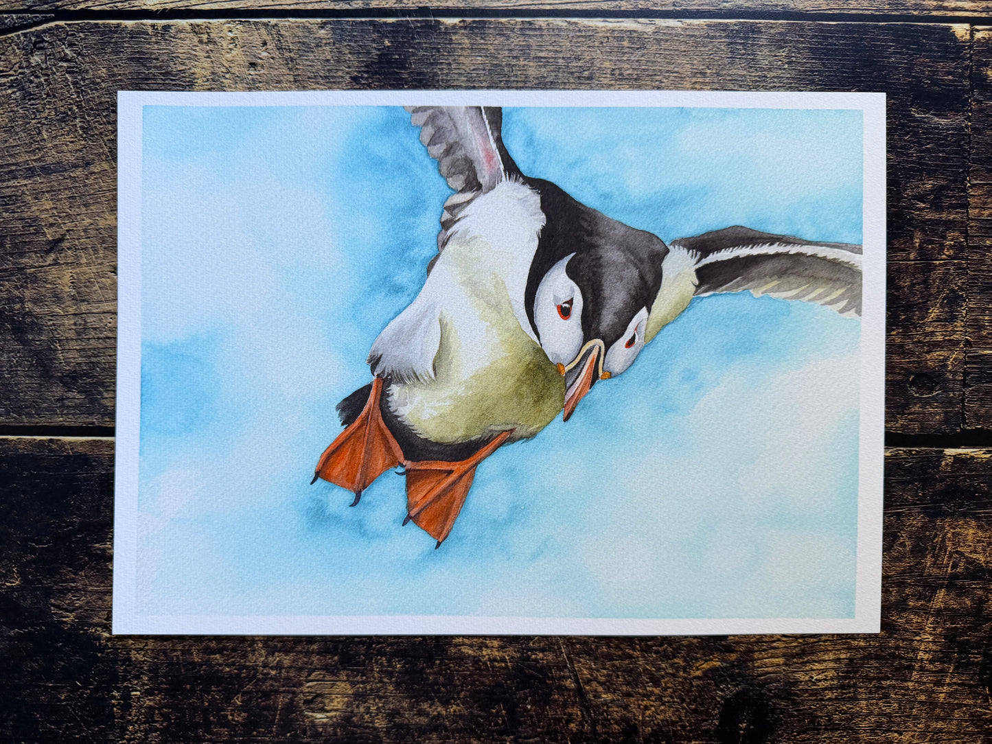 A watercolour print of a puffin in flight