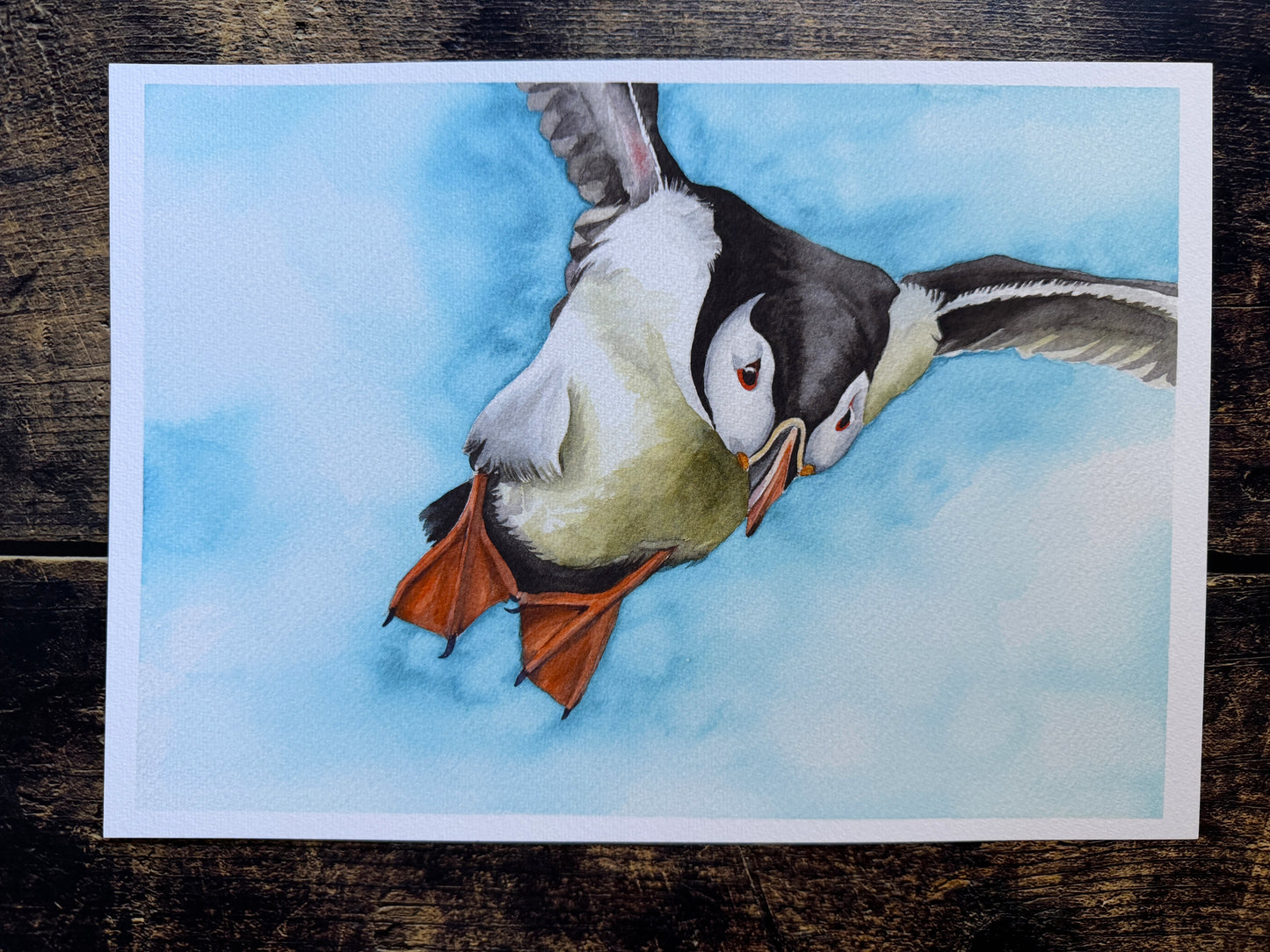 A watercolour print of a puffin in flight