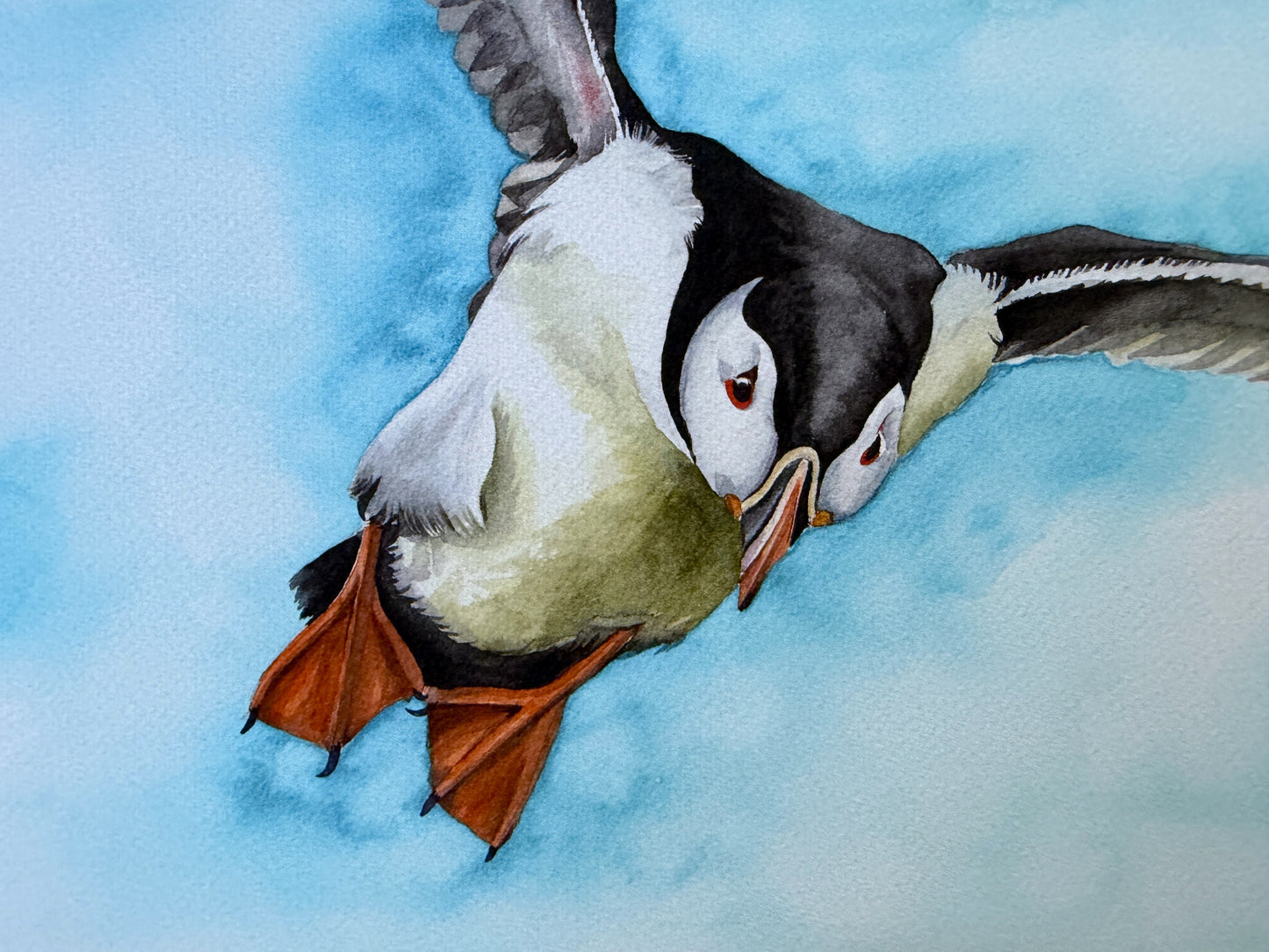 A watercolour print of a puffin in flight