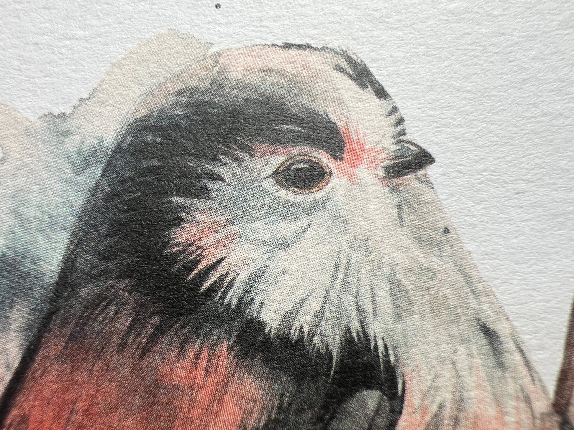 A close up showing the details of the bird
