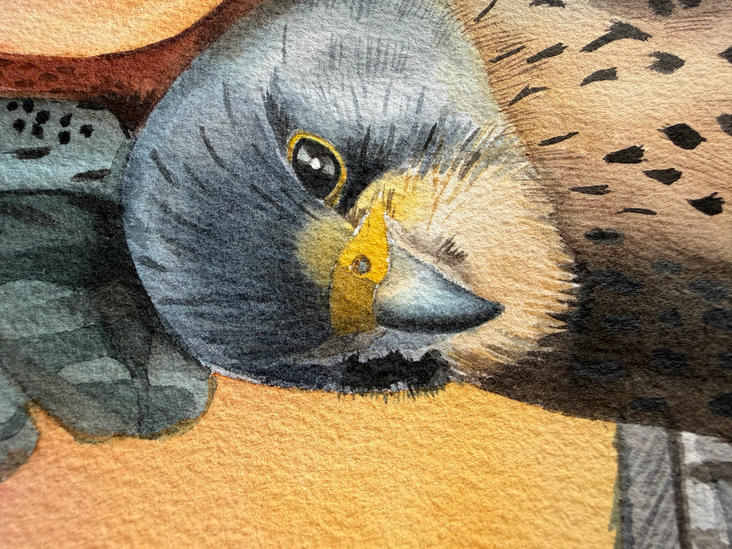 A watercolour painting of a hovering kestrel in front of a rainbow