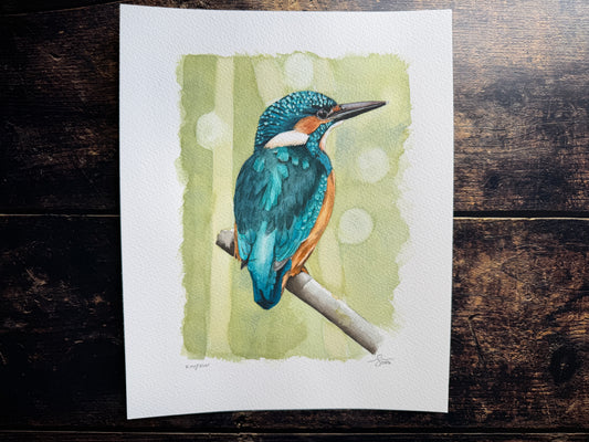 A watercolour painting of a kingfisher on a branch.