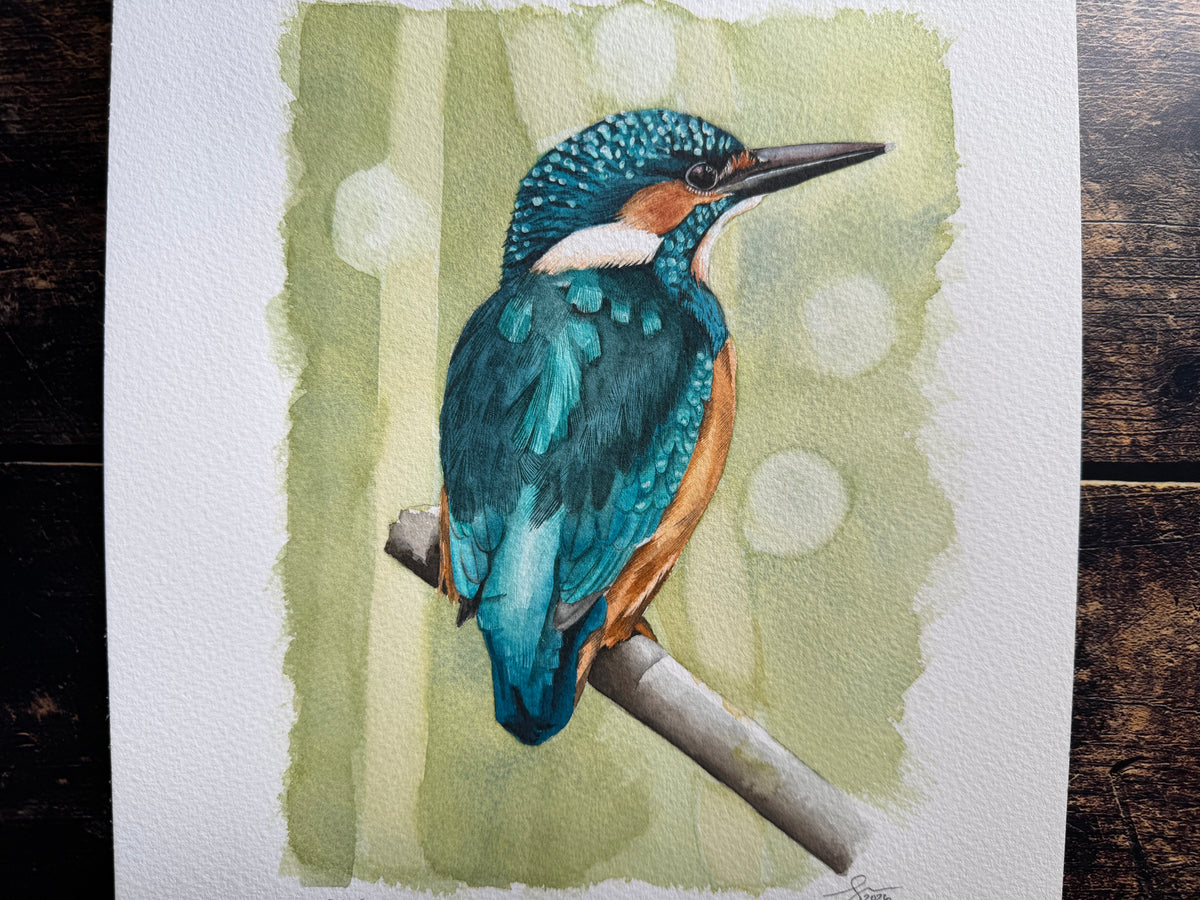 A watercolour painting of a kingfisher on a branch.