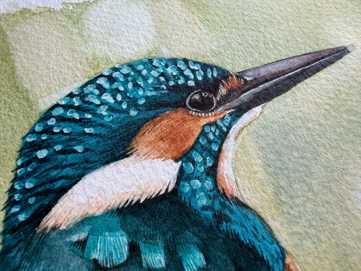 A watercolour painting of a kingfisher on a branch.