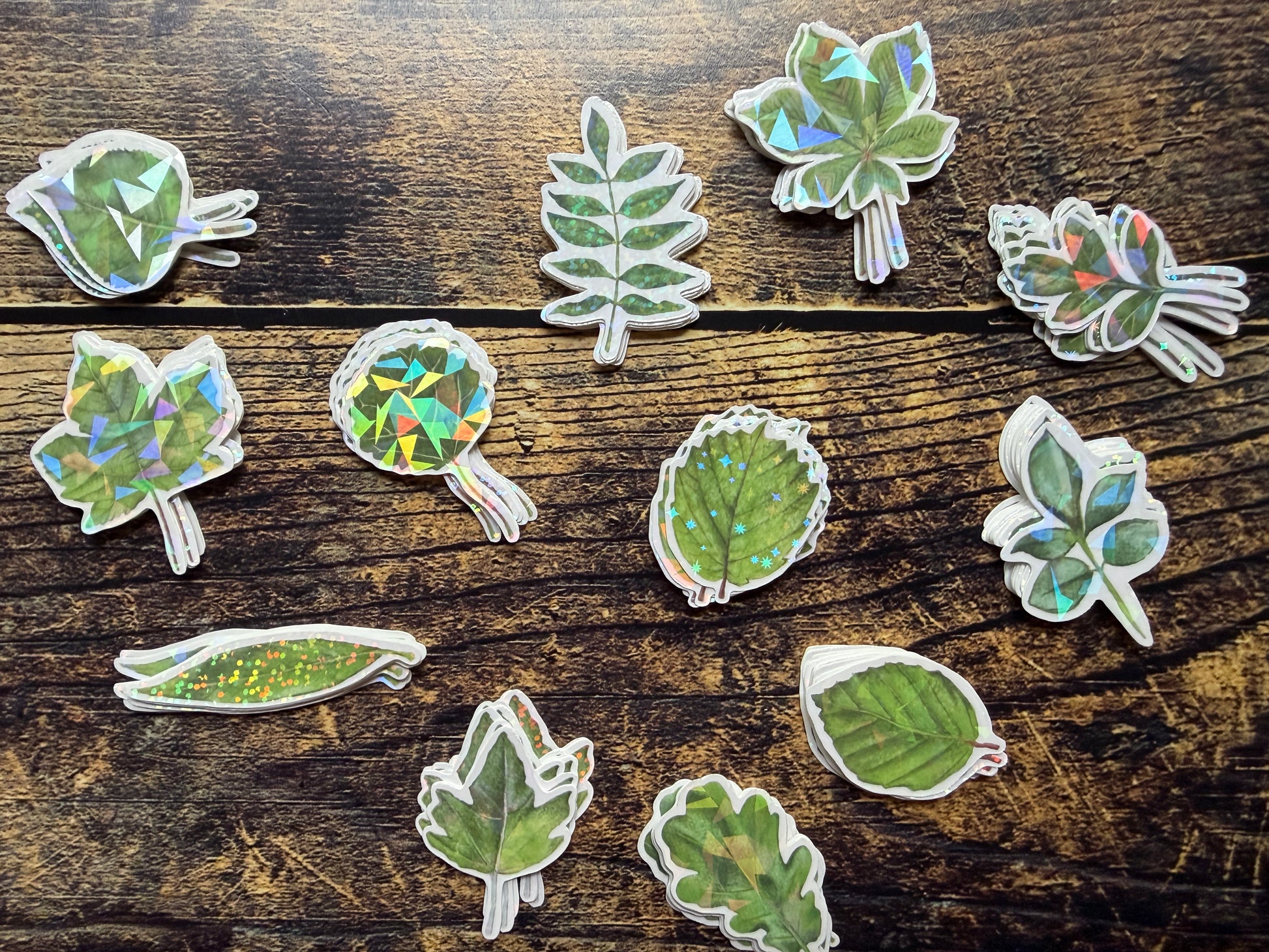 The whole collection of British Leaves holographic vinyl stickers