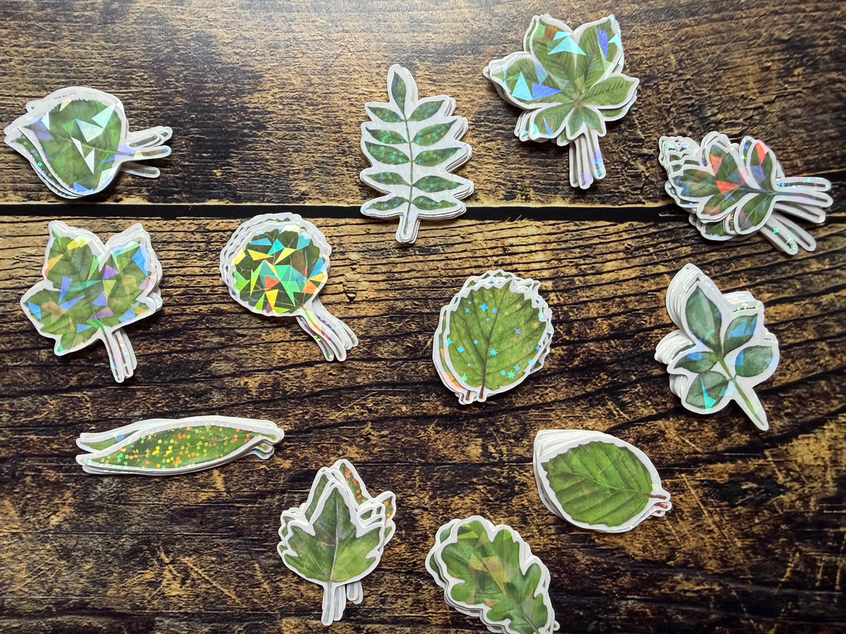 The whole collection of British Leaves holographic vinyl stickers