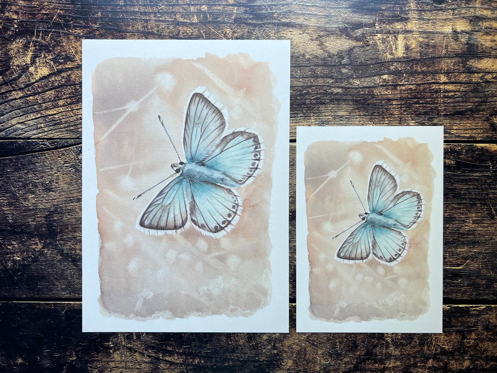 Butterfly (chalkhill blue) watercolour print on a recycled paper against a wooden background