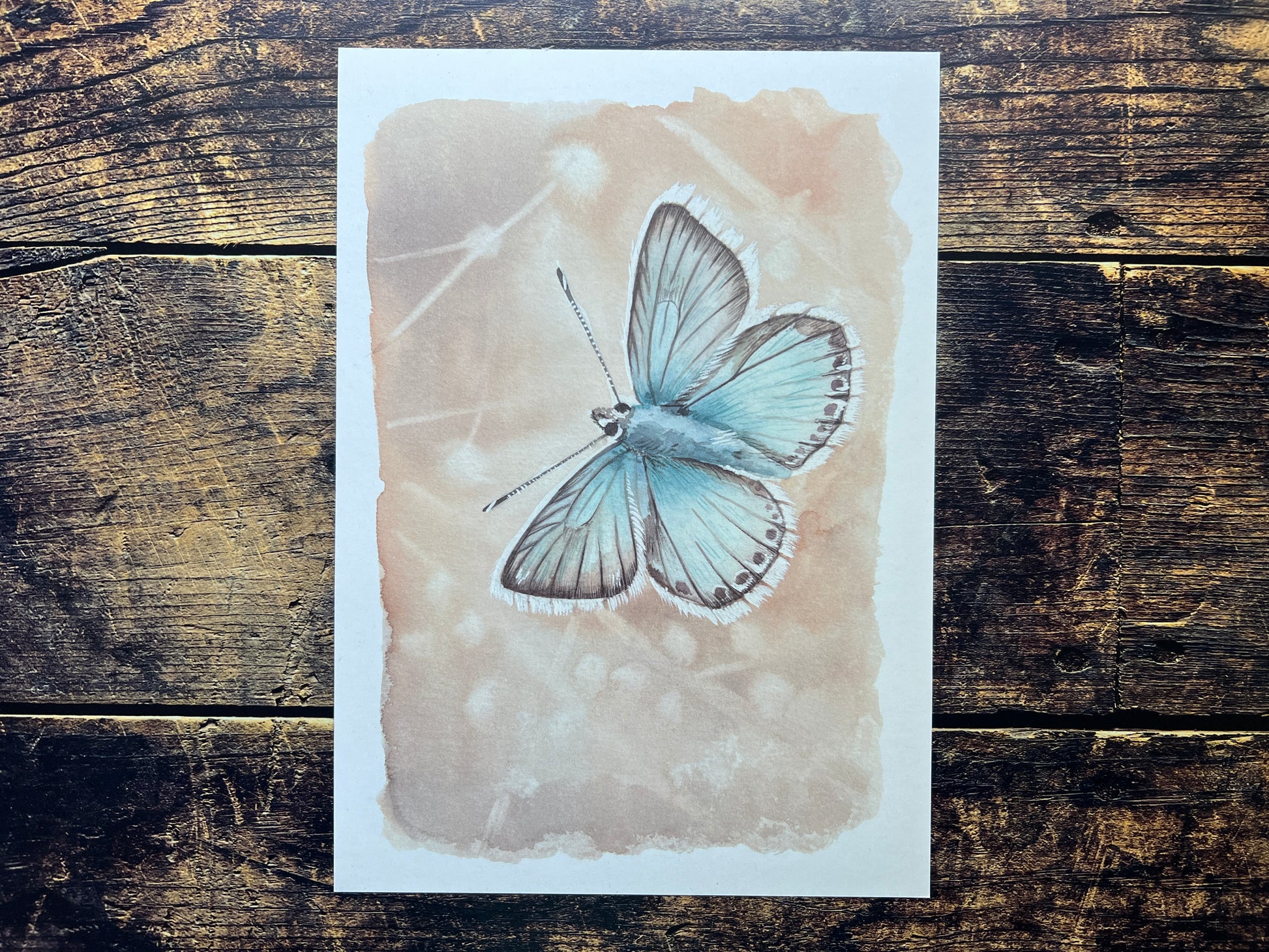 Butterfly (chalkhill blue) watercolour print on a recycled paper against a wooden background