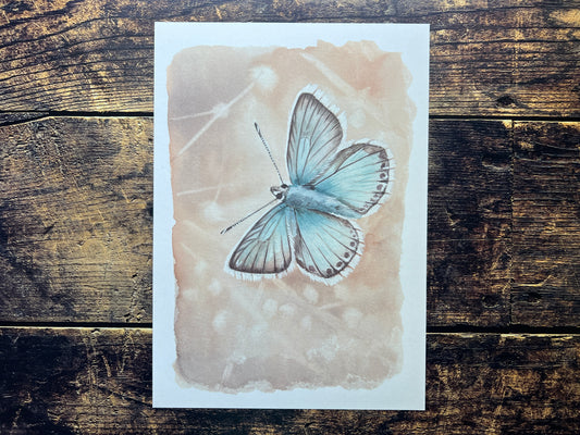 Butterfly (chalkhill blue) watercolour print on a recycled paper against a wooden background