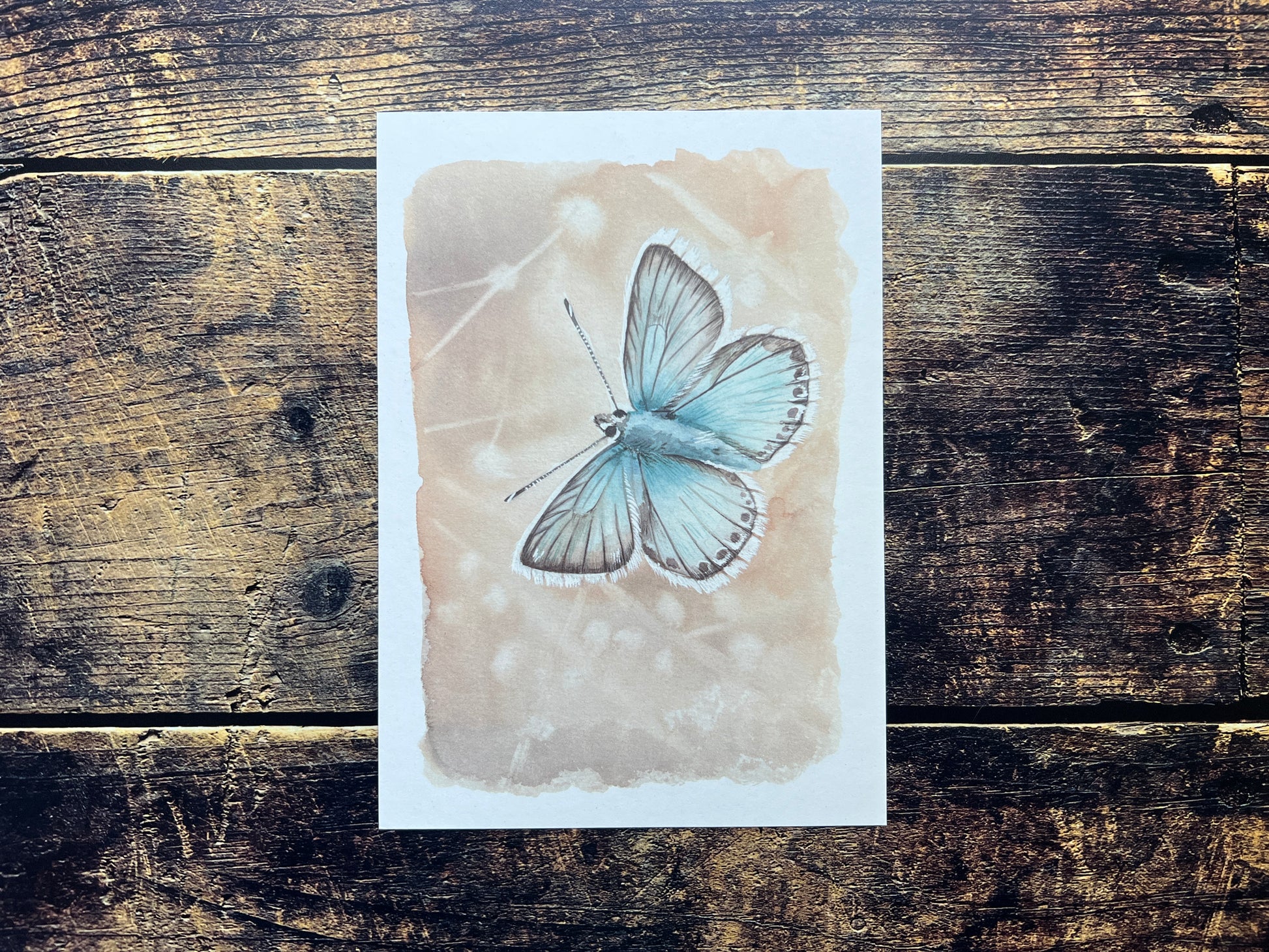 Butterfly (chalkhill blue) watercolour print on a recycled paper against a wooden background