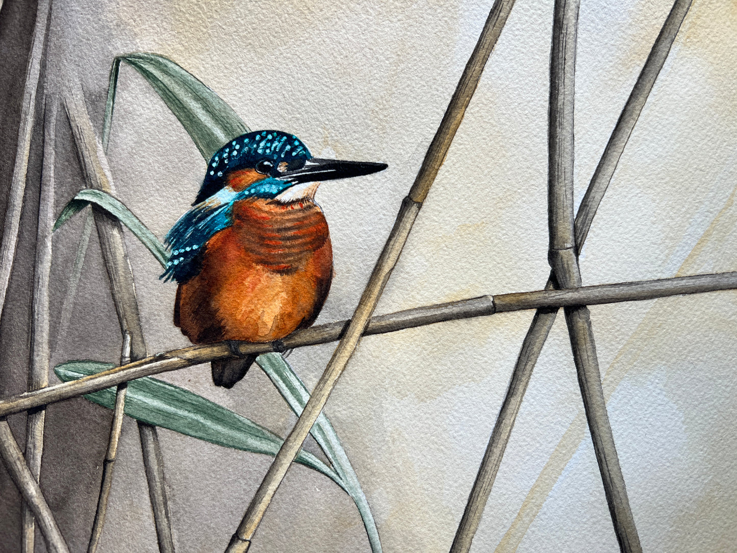 A watercolour painting of a kingfisher sitting among the reeds