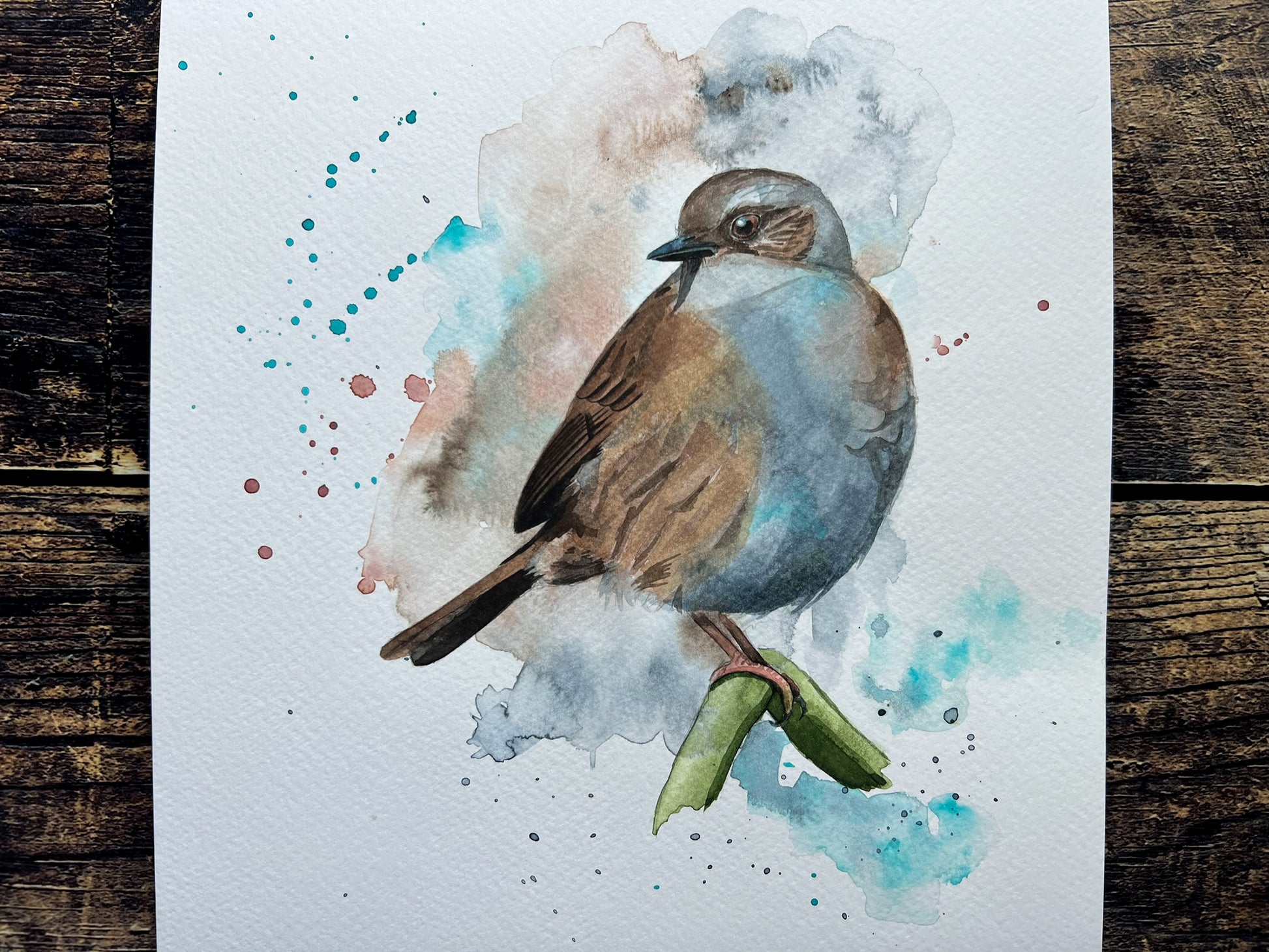 An A4 original watercolour painting of a dunnock on 300gsm watercolour paper.