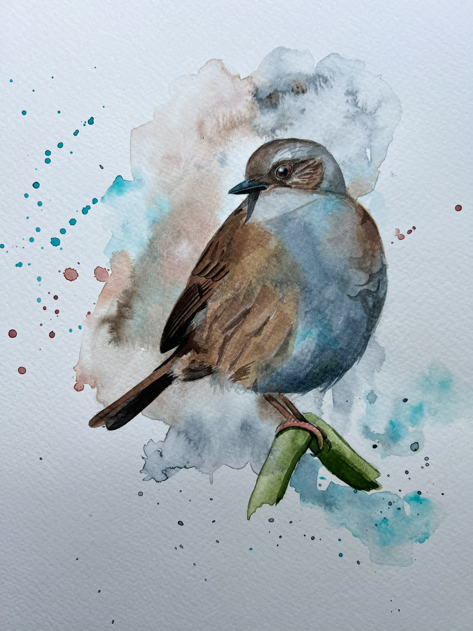 An A4 original watercolour painting of a dunnock on 300gsm watercolour paper.