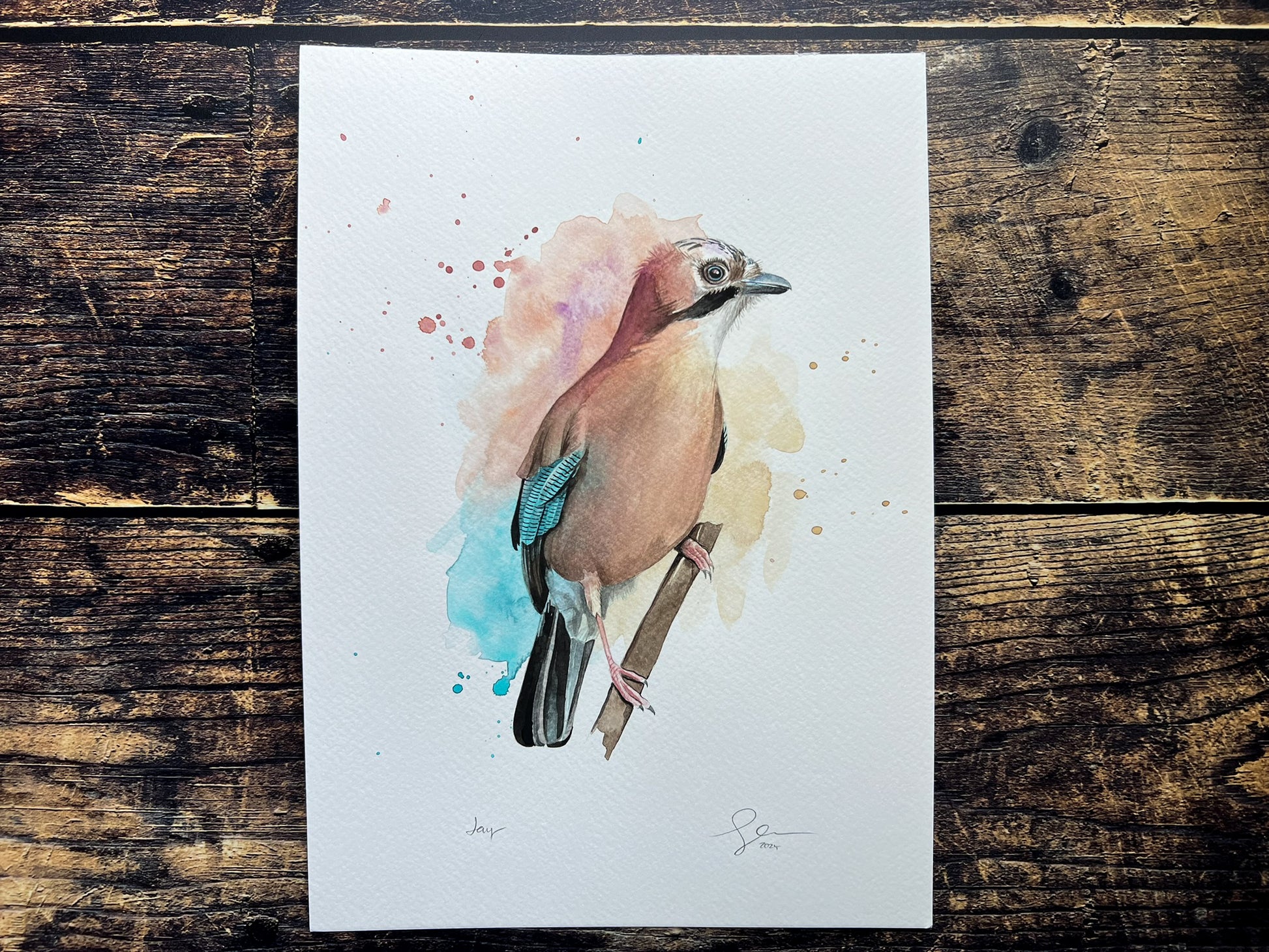 Jay - Original art – GeorginaDoodles