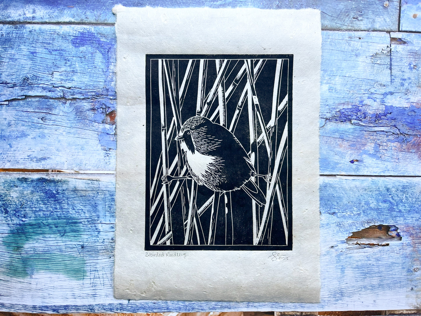 A black lino print of a bearded reedling on handmade lokta paper