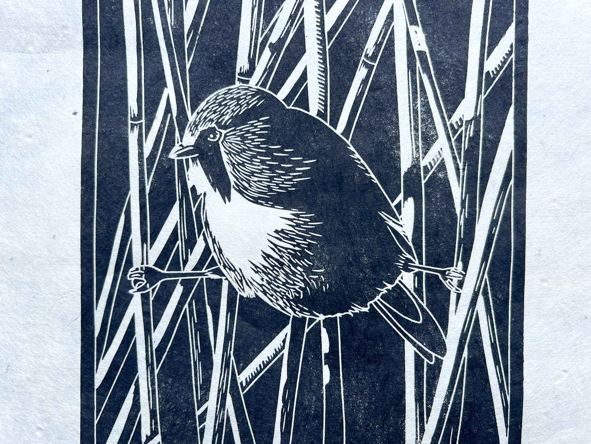 A close up of a black lino print of a bearded reedling