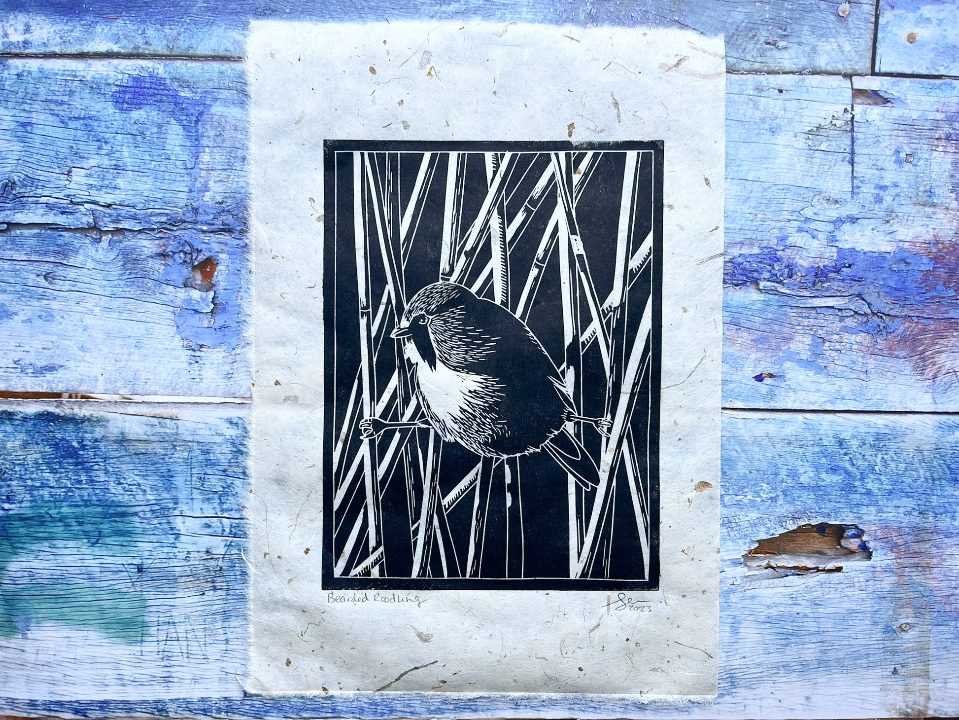 A black lino print of a bearded reedling on handmade mulberry paper