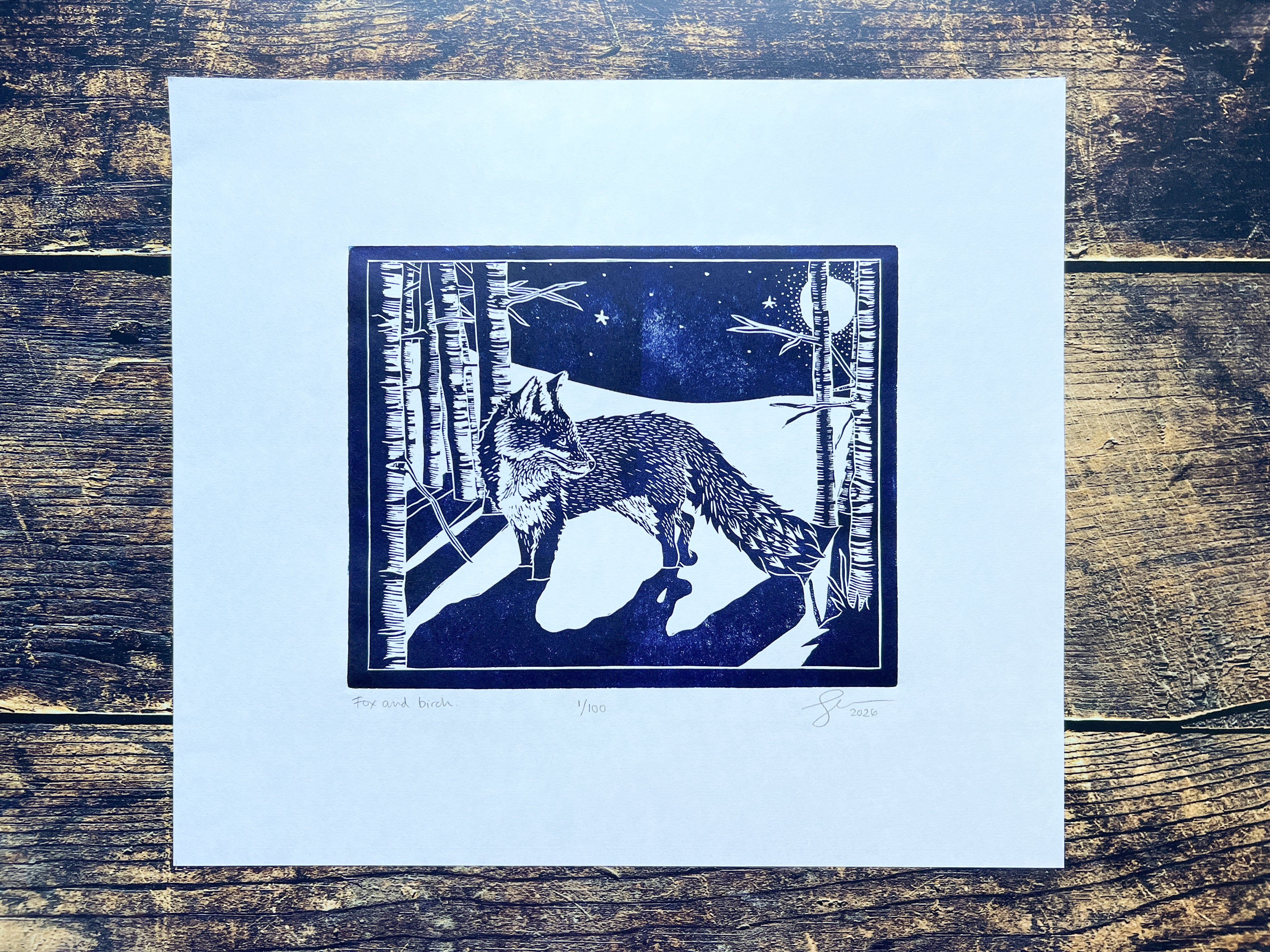 A photograph of a lino print in navy blue of a fox in among birch trees with long dramatic shadows
