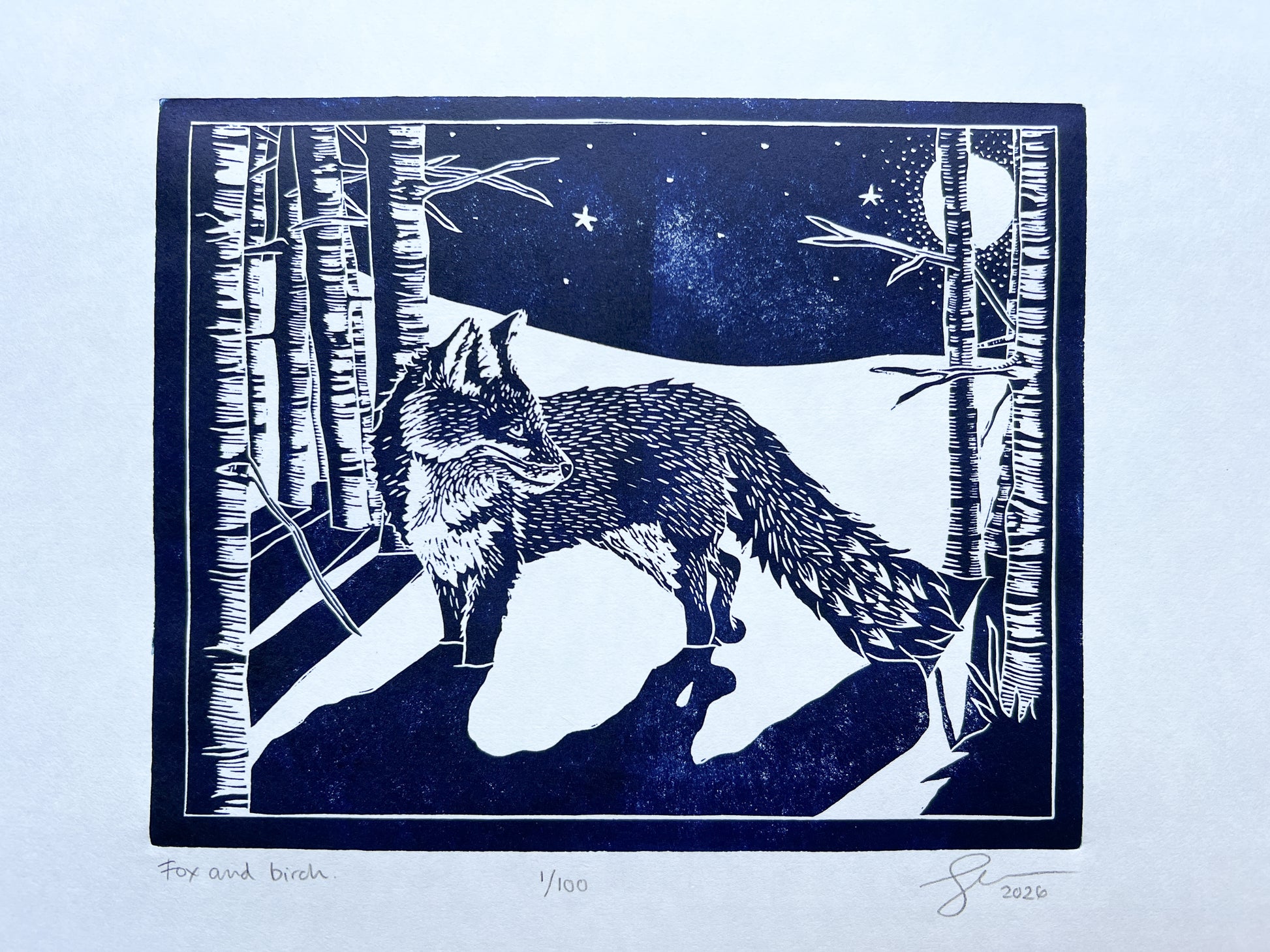 A photograph of a lino print in navy blue of a fox in among birch trees with long dramatic shadows