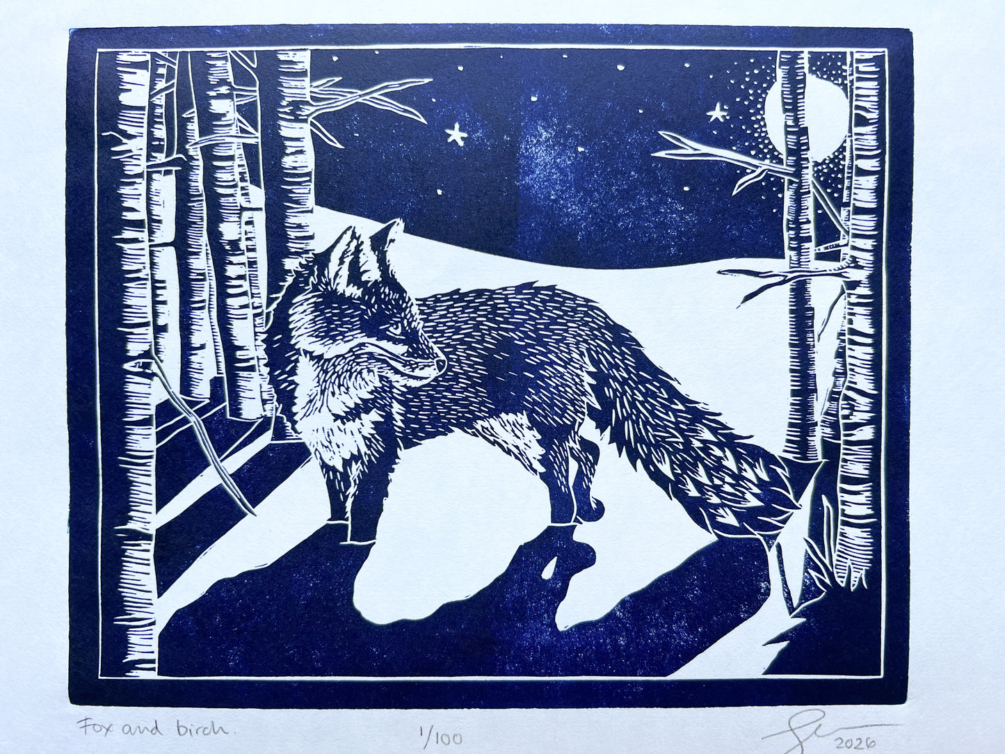 A photograph of a lino print in navy blue of a fox in among birch trees with long dramatic shadows