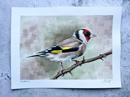 Goldfinch 12x9 watercolour painting