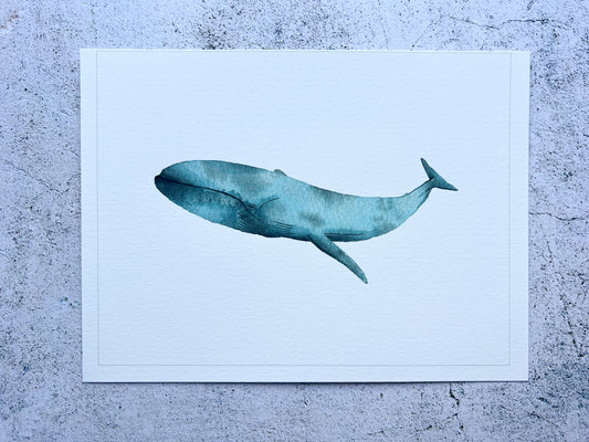 Blue whale A5 gicleé print - SALE