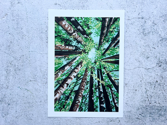 Woodland sun A5 print - SALE