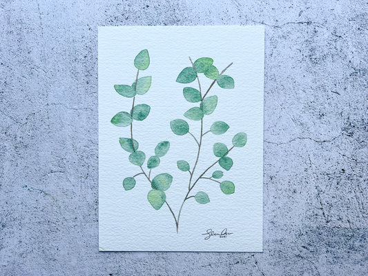 Eucalyptus watercolour original A5 painting - SALE