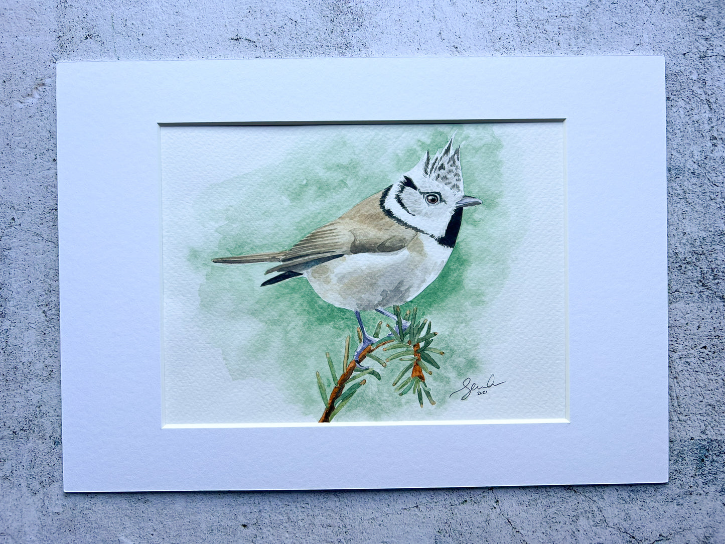 Crested tit original watercolour painting - SALE