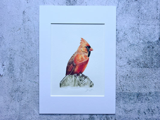 Cardinal original watercolour painting - SALE