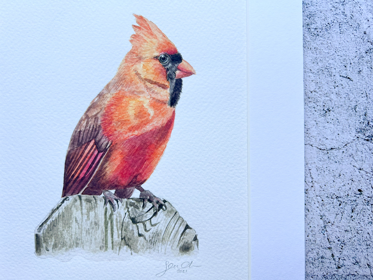 Cardinal original watercolour painting - SALE