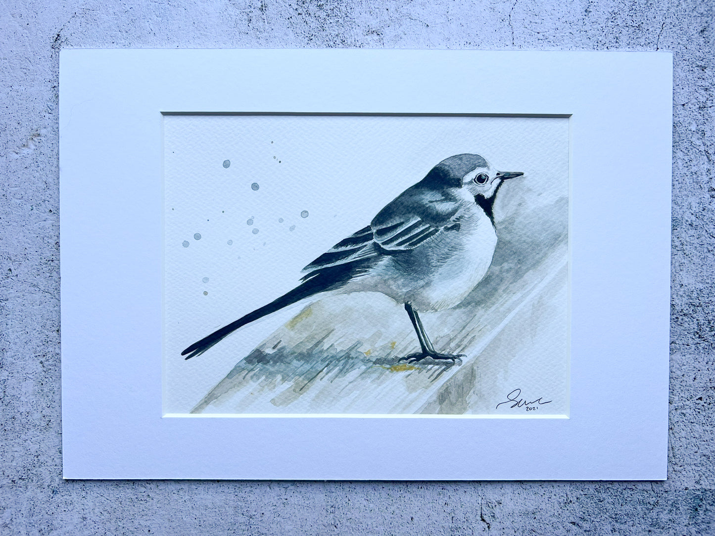 Pied wagtail original A4 watercolour painting - SALE