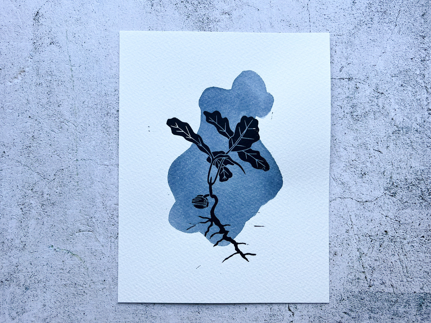 Mixed media oak sapling print - SALE