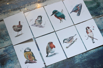 A collection of 8 x A6 watercolour British bird cards
