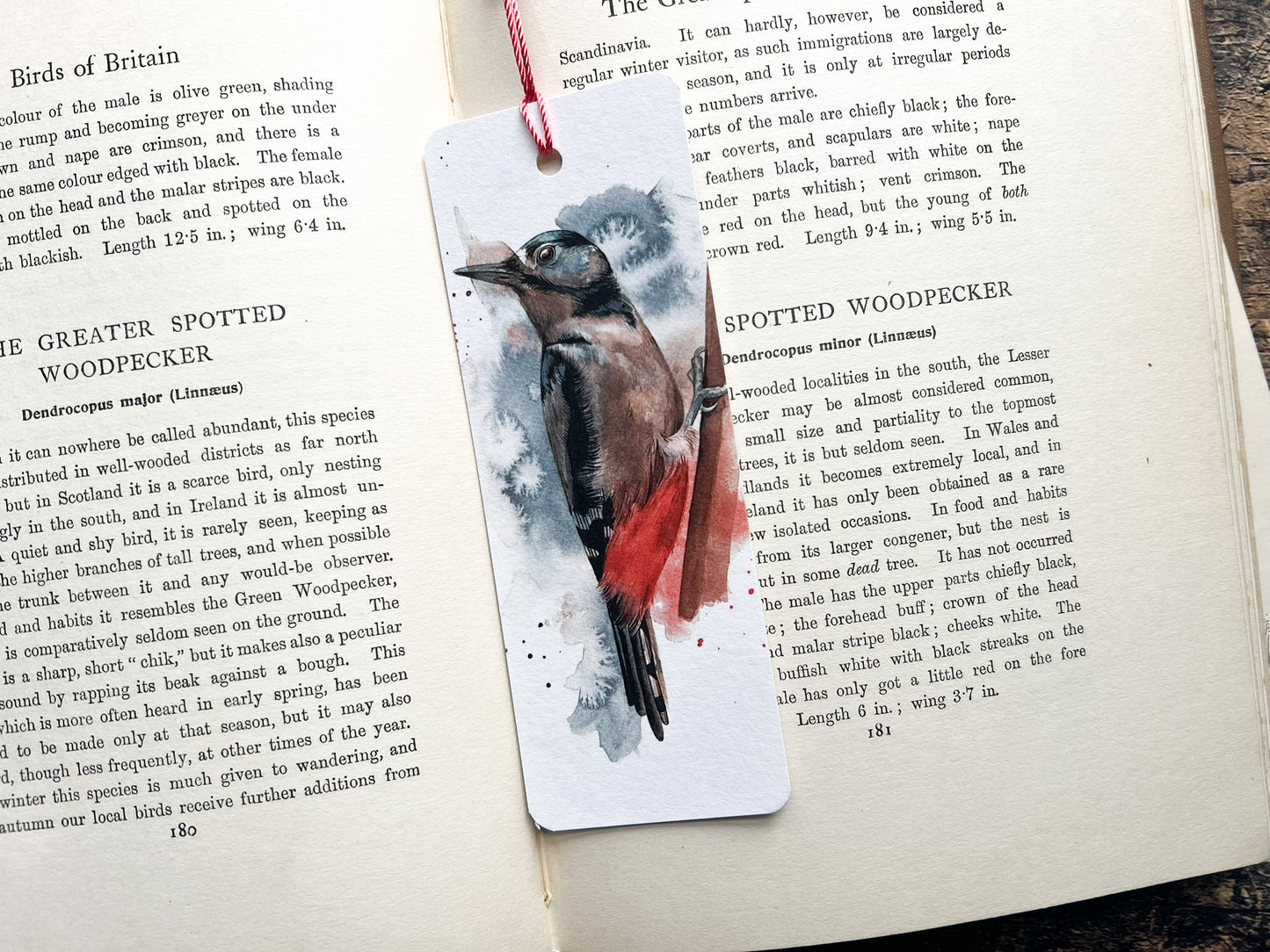 A photo of a bookmark of a great spotted woodpecker watercolour, photographed on an open book