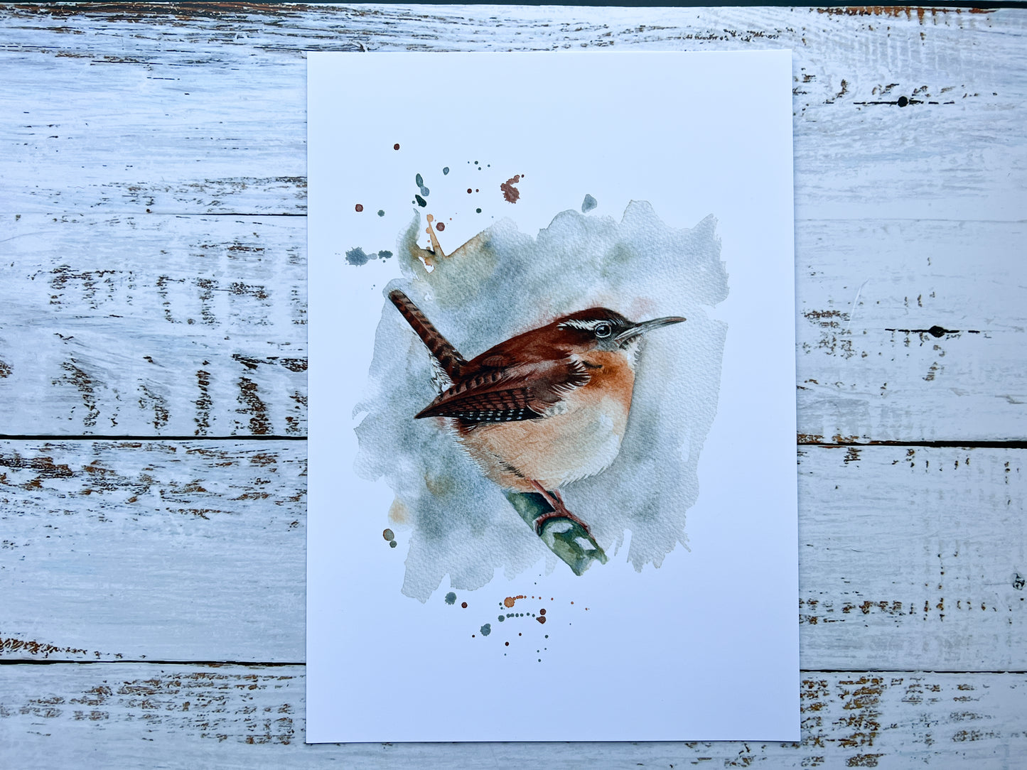 A watercolour print of a carolina wren, painted in watercolours in an expressive way