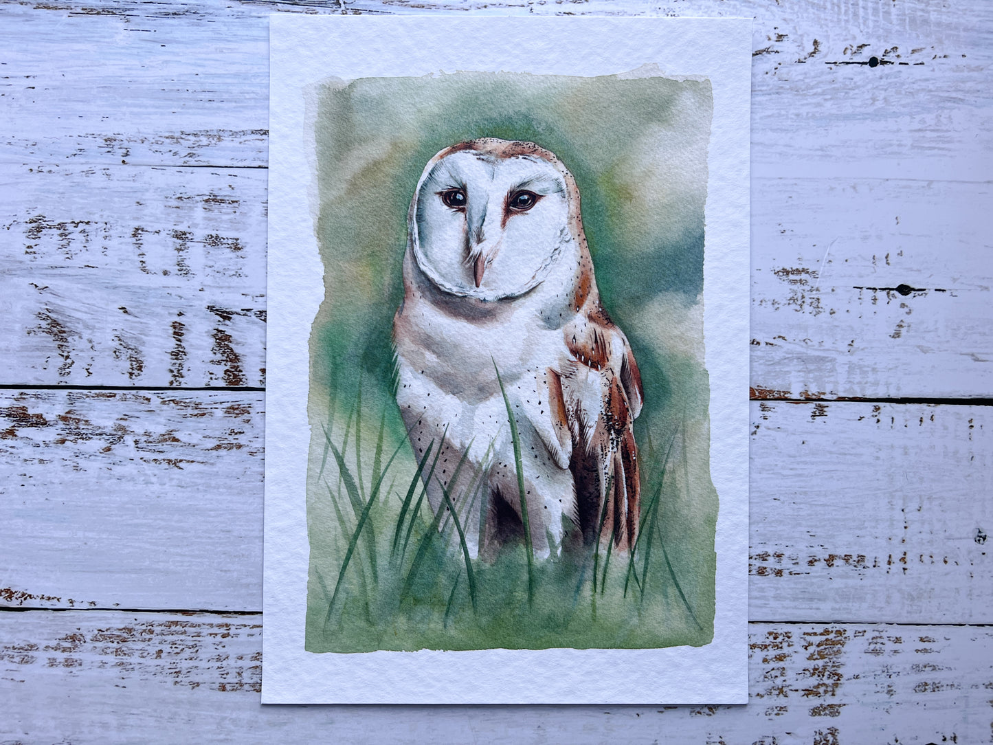 A watercolour print of a barn owl, standing in long grass (so surrounded by green granulated watercolours)